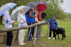 viber_slika_2025-10-06_02-06-37-509_1024x576