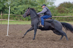 viber_slika_2025-10-06_02-06-41-714_1024x576