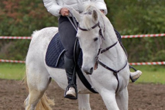 viber_slika_2025-10-06_02-06-44-621_432x768