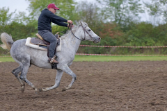 viber_slika_2025-10-06_02-06-55-379_1024x576