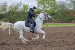 viber_slika_2025-10-06_02-06-59-508_1024x576