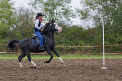 viber_slika_2025-10-06_02-07-09-716_1024x576