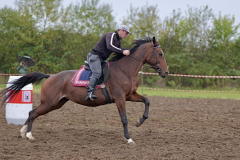 viber_slika_2025-10-06_02-07-09-758_1024x576