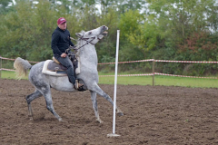 viber_slika_2025-10-06_02-07-10-122_1024x576