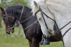 viber_slika_2025-10-06_02-07-10-394_1024x576