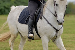 viber_slika_2025-10-06_02-07-10-442_432x768