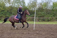 viber_slika_2025-10-06_02-07-10-885_1024x576