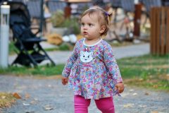 IMG_3903_1024x683