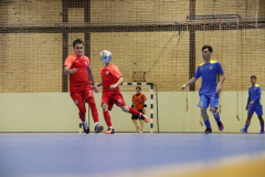 IMG_7412_1024x683