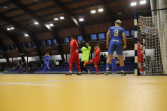 IMG_7572_1024x683