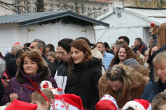 IMG_3517_1024x683