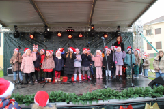 IMG_3546_1024x683