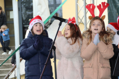 IMG_3586_1024x683