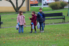 IMG_3679_1024x683