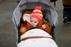 IMG_3684_1024x683