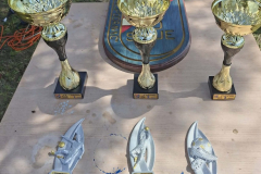 331a9416-bdbe-4b12-aba0-529203ce435b_854x768