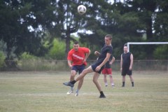 DSC_0686_1024x683
