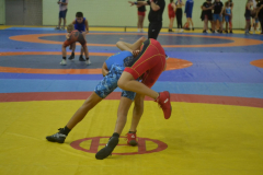 DSC_0041_1024x683
