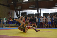 DSC_0046_1024x683