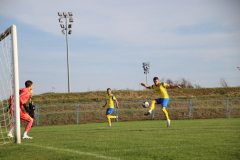 IMG_9537_1024x683