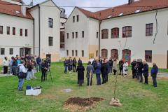 20251107_110701_1024x768