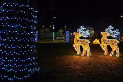 20251207_194024_1024x683