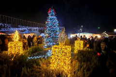 20251207_202801_1024x576