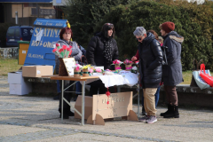 IMG_4103_1024x683