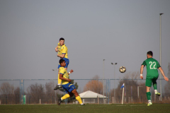 IMG_0942_1024x683