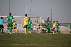 IMG_0961_1024x683