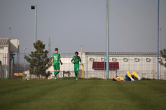 IMG_0978_1024x683