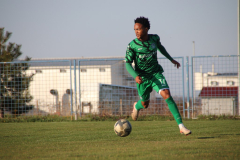 IMG_1141_1024x683