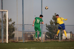IMG_1168_1024x683