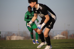 IMG_1241_1024x683
