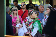 IMG_3084_1024x683