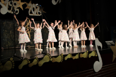 IMG_1003_1024x683