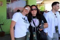 IMG_0256_1024x683