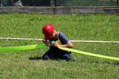 IMG_7240_1024x683