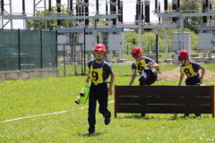 IMG_7246_1024x683