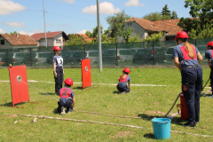 IMG_7250_1024x683