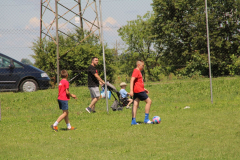 IMG_7276_1024x683