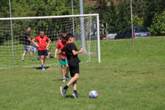 IMG_7278_1024x683