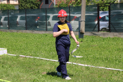IMG_7290_1024x683