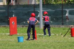 IMG_7303_1024x476