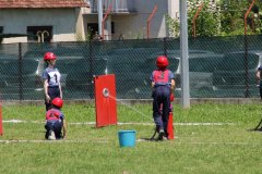 IMG_7306_1024x552