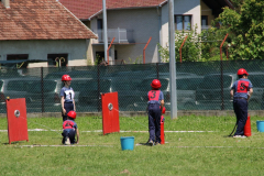 IMG_7307_1024x683