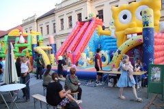 IMG_5617_1024x683