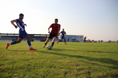 IMG_9419_1024x683