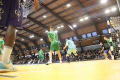 IMG_5234_1024x683