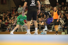 IMG_5277_1024x683